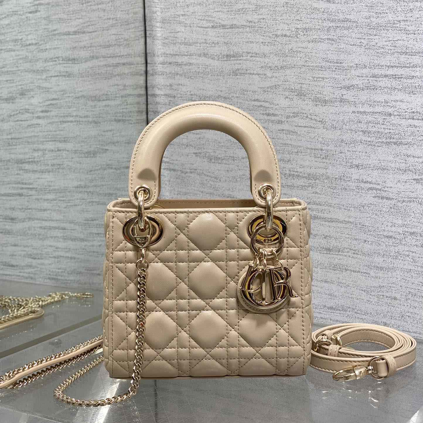 Dior Mini Lady Dior Bag     - DesignerGu