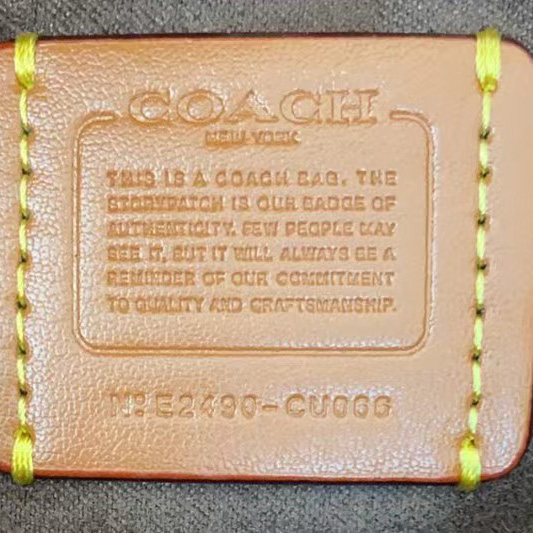 Coach Empire Carryall Bag   31×18×13cm - DesignerGu