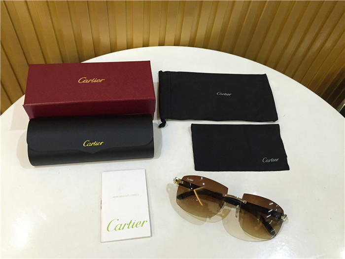 Cartier 4189705 White Mix Black Buffalo Sunglasses In Silver - DesignerGu