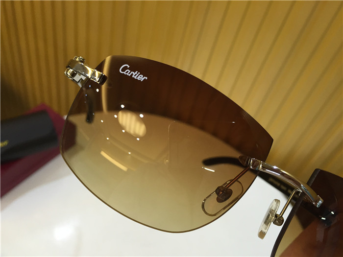 Cartier 4189705 White Mix Black Buffalo Sunglasses In Silver - DesignerGu