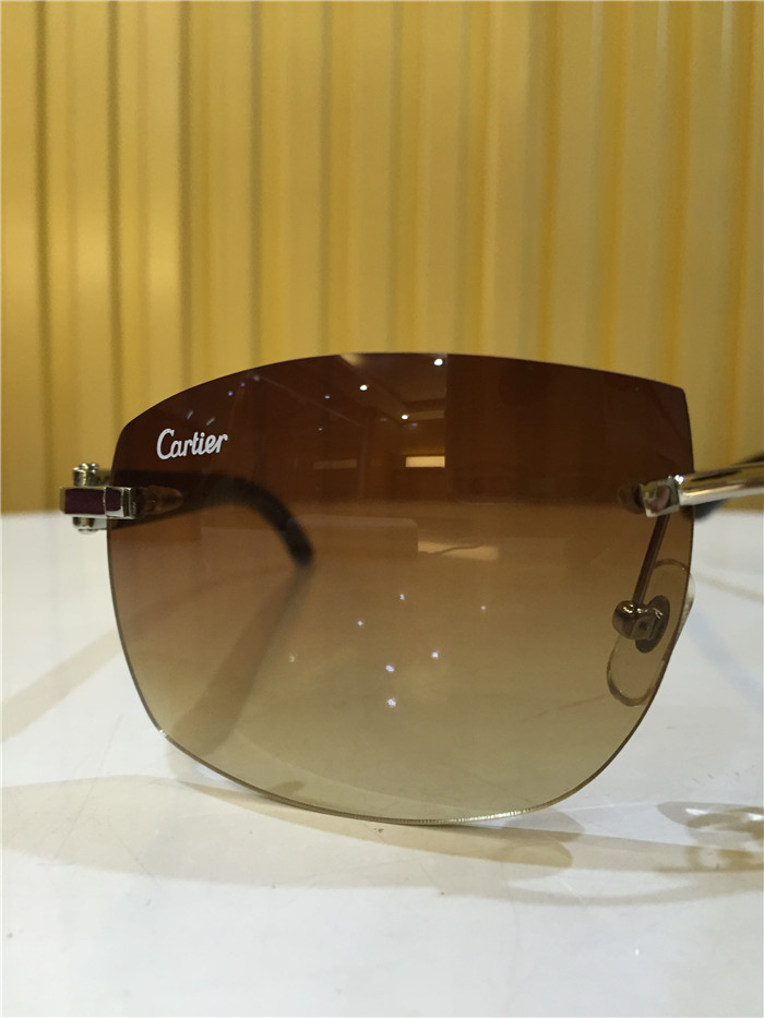 Cartier 4189705 White Mix Black Buffalo Sunglasses In Silver - DesignerGu