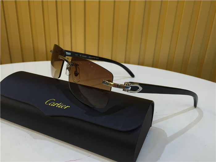 Cartier 3524012 Black Cattle Horn Eyeglasses In Silver - DesignerGu