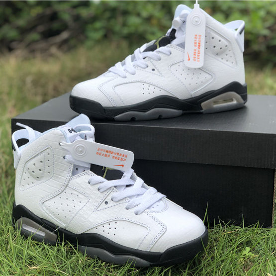 Air Jordan 6 