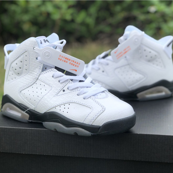 Air Jordan 6 