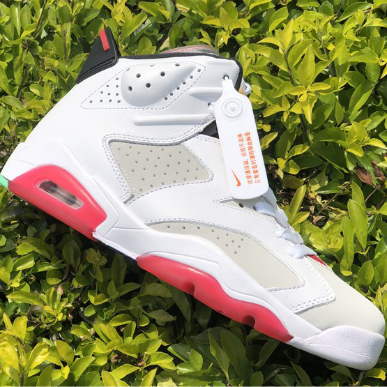 Jordan AJ6 Sneaker - DesignerGu