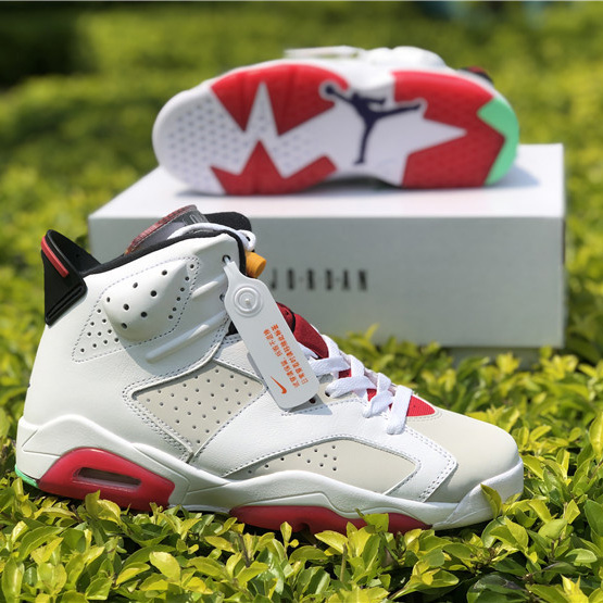 Jordan AJ6 Sneaker - DesignerGu