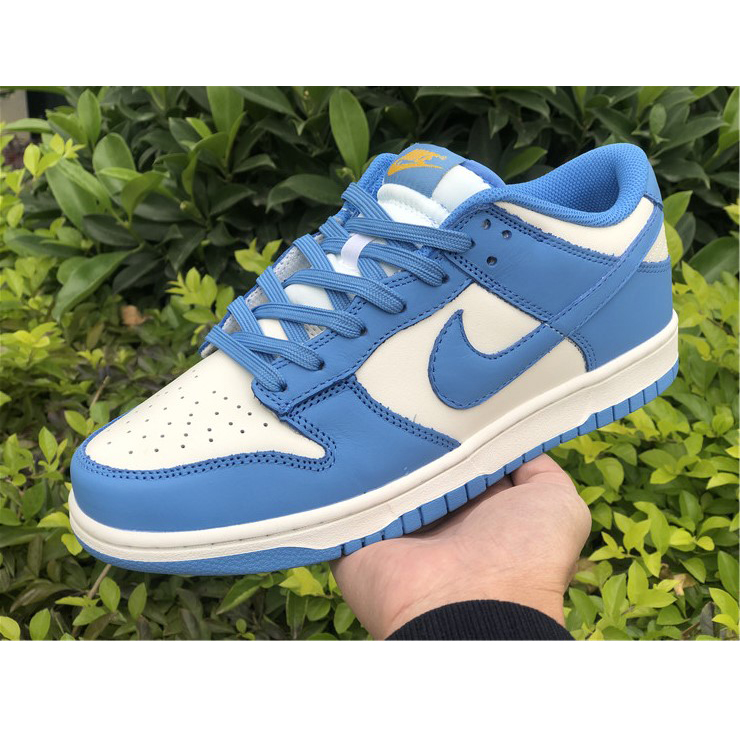 Nike Dunk Low Coast DD1503-100 - DesignerGu