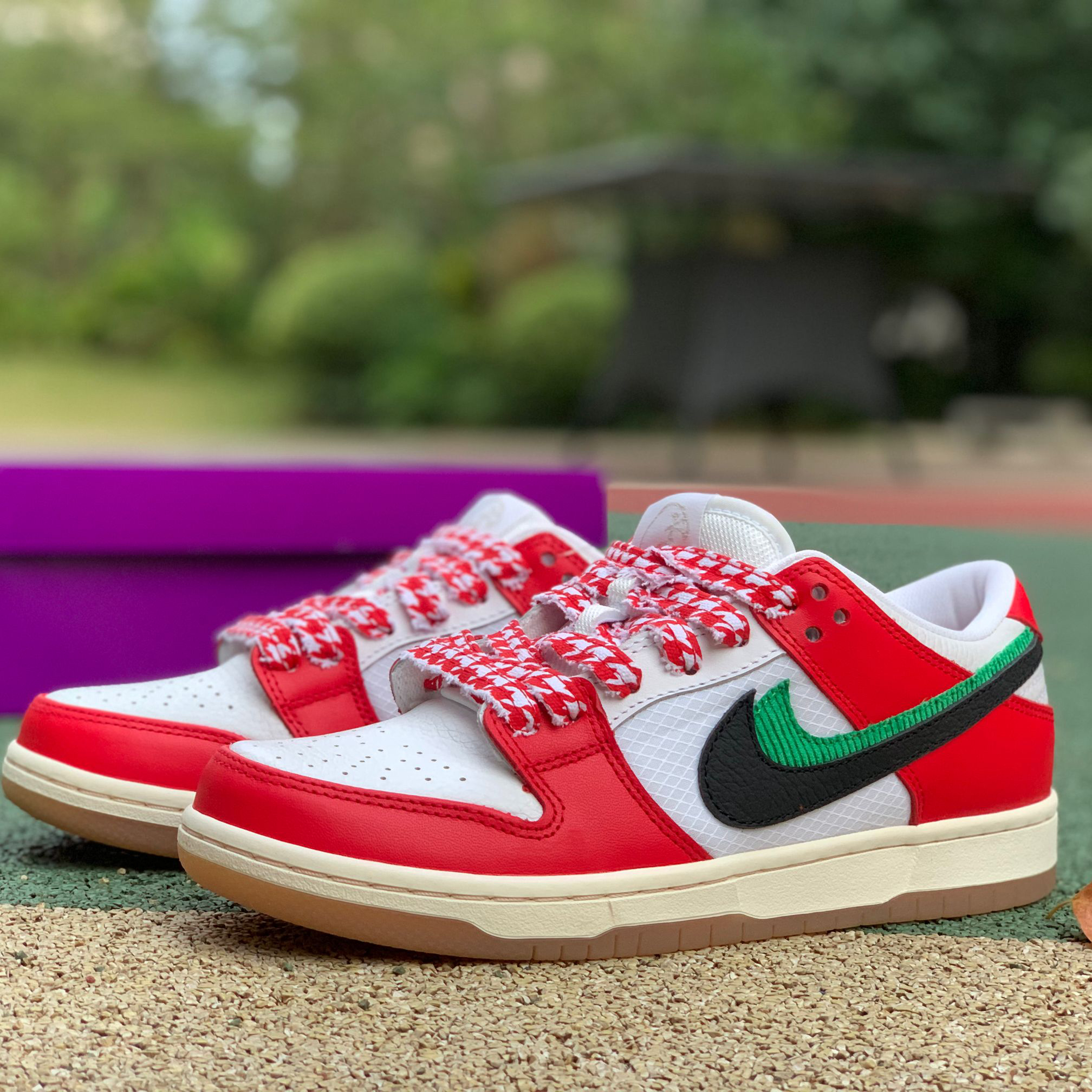 Frame Skate X Nike SB Dunk Low 