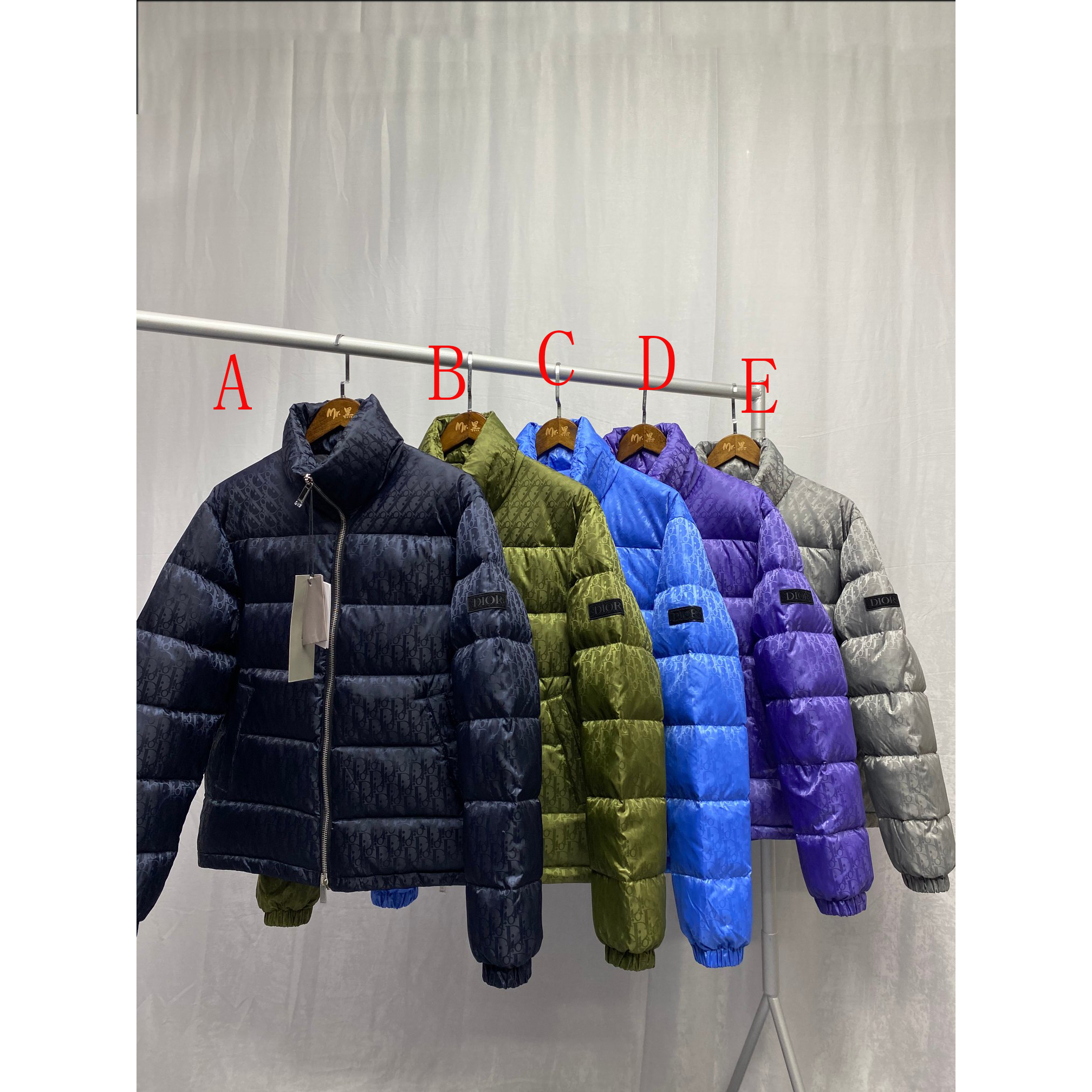 Dior  Oblique Down Jacket  - DesignerGu