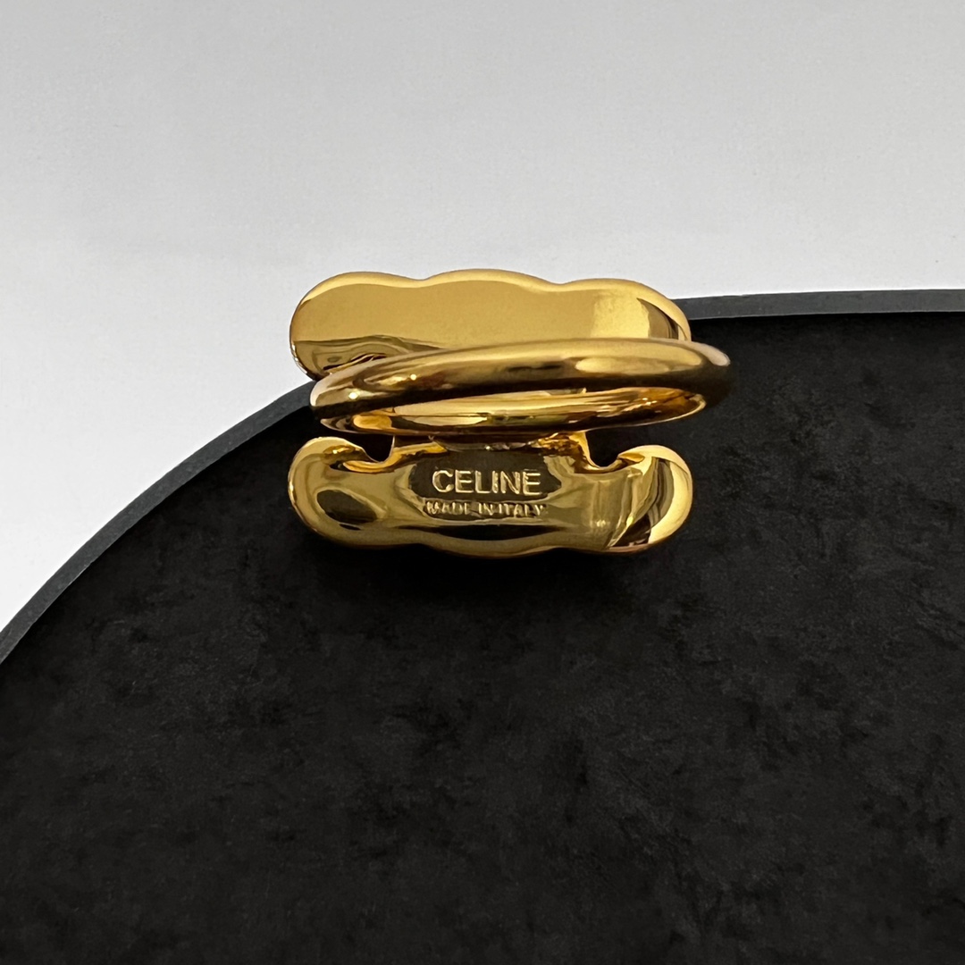 Celine Earrings  - DesignerGu