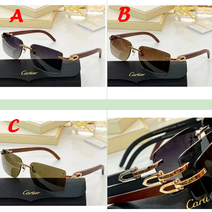 Cartier  Sunglasses   - DesignerGu