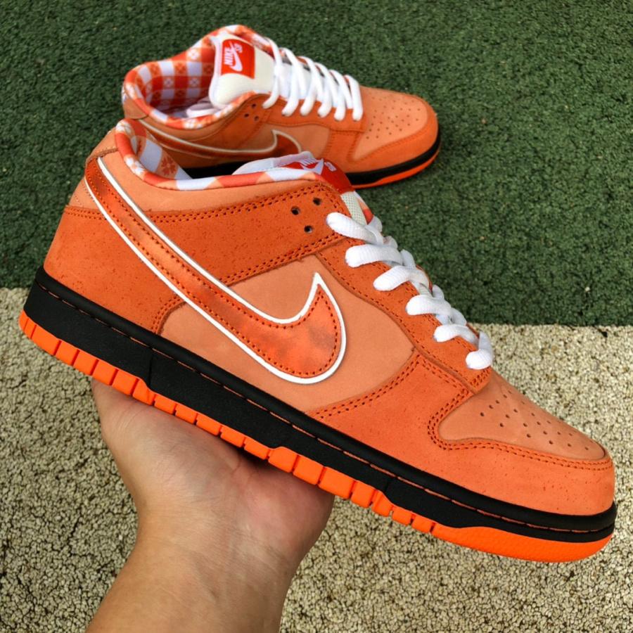 Concepts x Nike Sb Dunk Low 