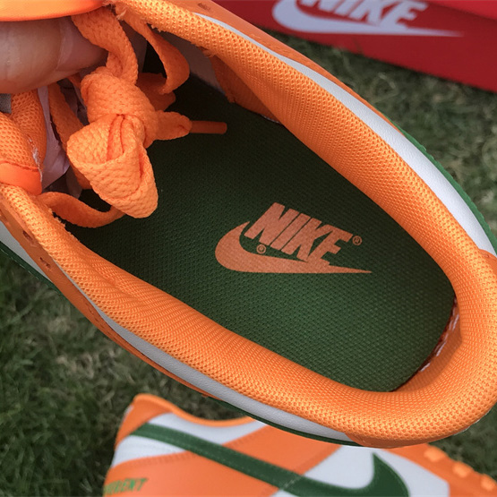 Nike SB Dunk Low 'Famu' Sneaker    DR6188-800 - DesignerGu