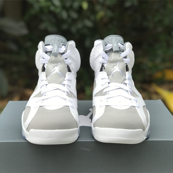 Air Jordan 6 “Cool Grey” Sneaker CT8529-100 - DesignerGu