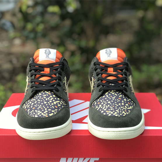 Nike SB Dunk Low Rainbow Trout Sneakers        FH7523-300 - DesignerGu