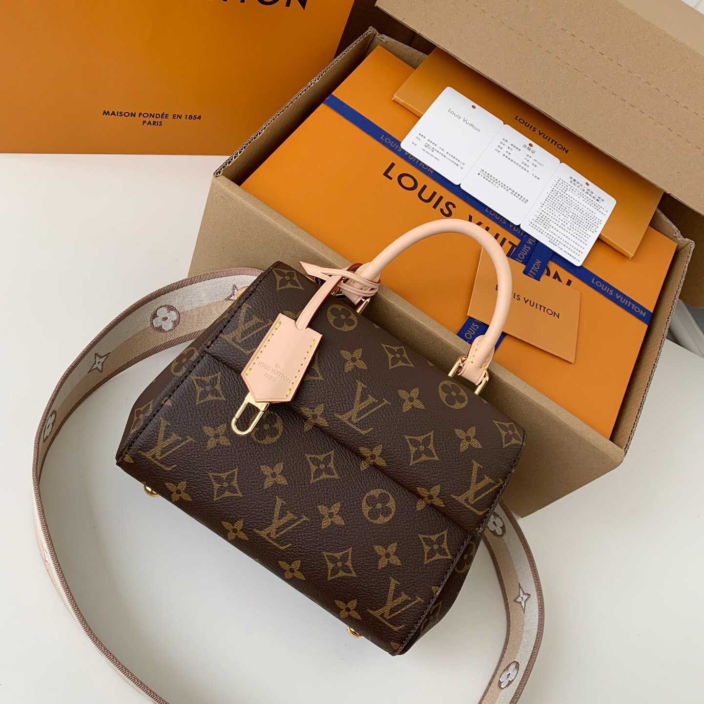 Louis Vuitton Cluny Mini Handbag  (20*16*7.5cm)    M46055 - DesignerGu