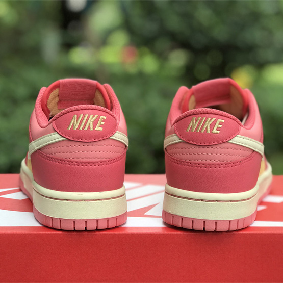 Nike SB Dunk Low Sneakers          DH9765-200 - DesignerGu