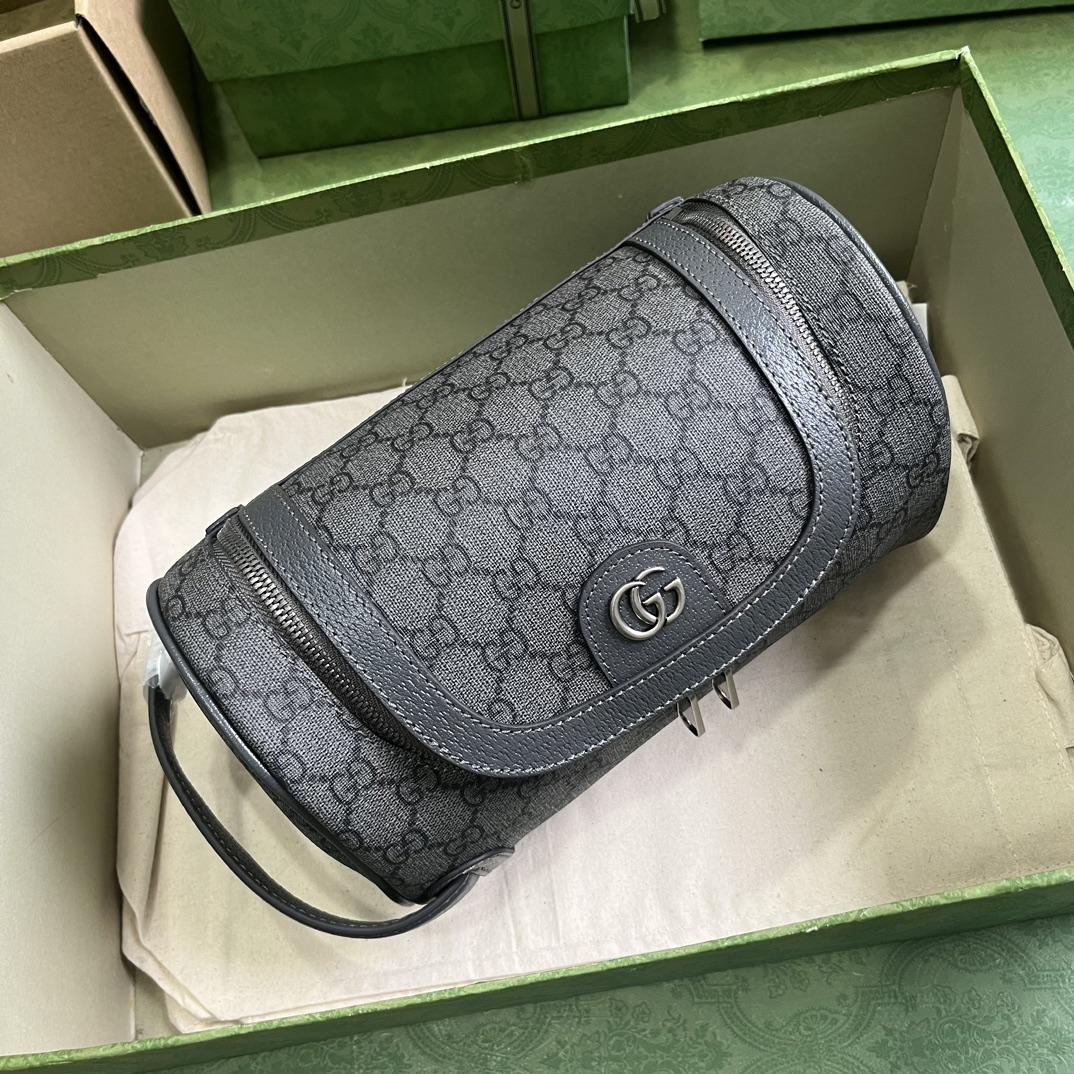 Gucci Ophidia Toiletry Case  (24-13-28cm) - DesignerGu