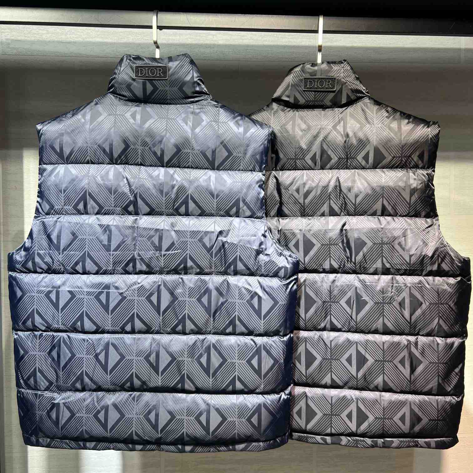 Dior Sleeveless Down Jacket - DesignerGu