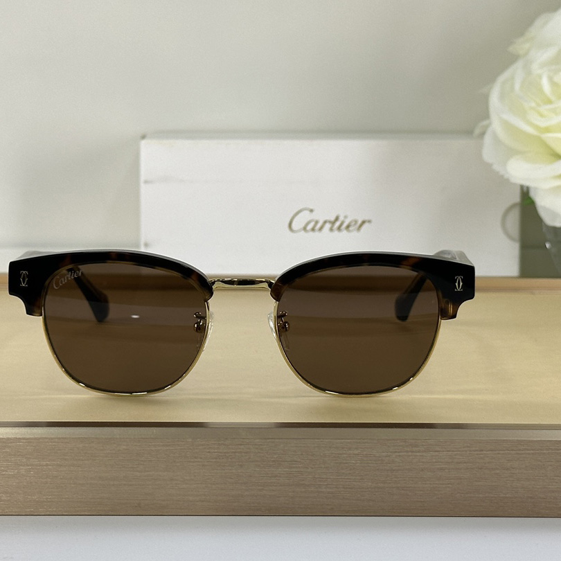 Cartier D-Frame Tortoiseshell Acetate Sunglasses   CT0366 - DesignerGu