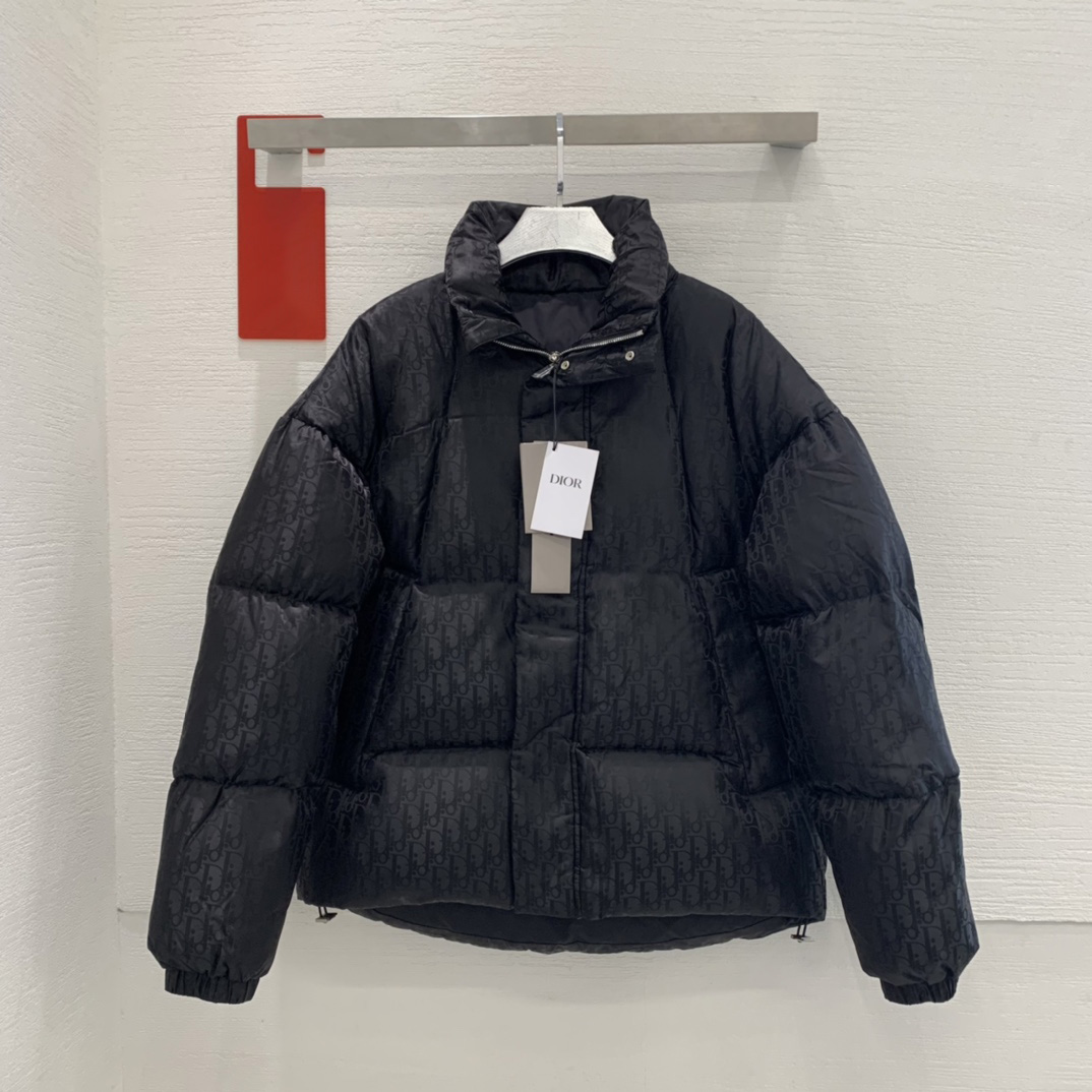 Dior Oblique Down Jacket - DesignerGu