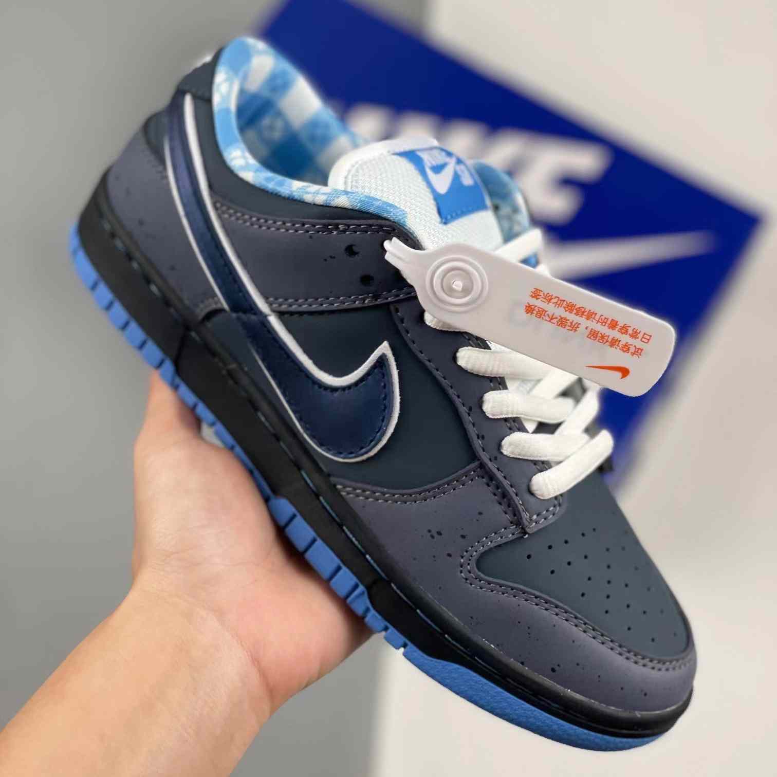  Concepts x Nk Dunk Low Pro SB 