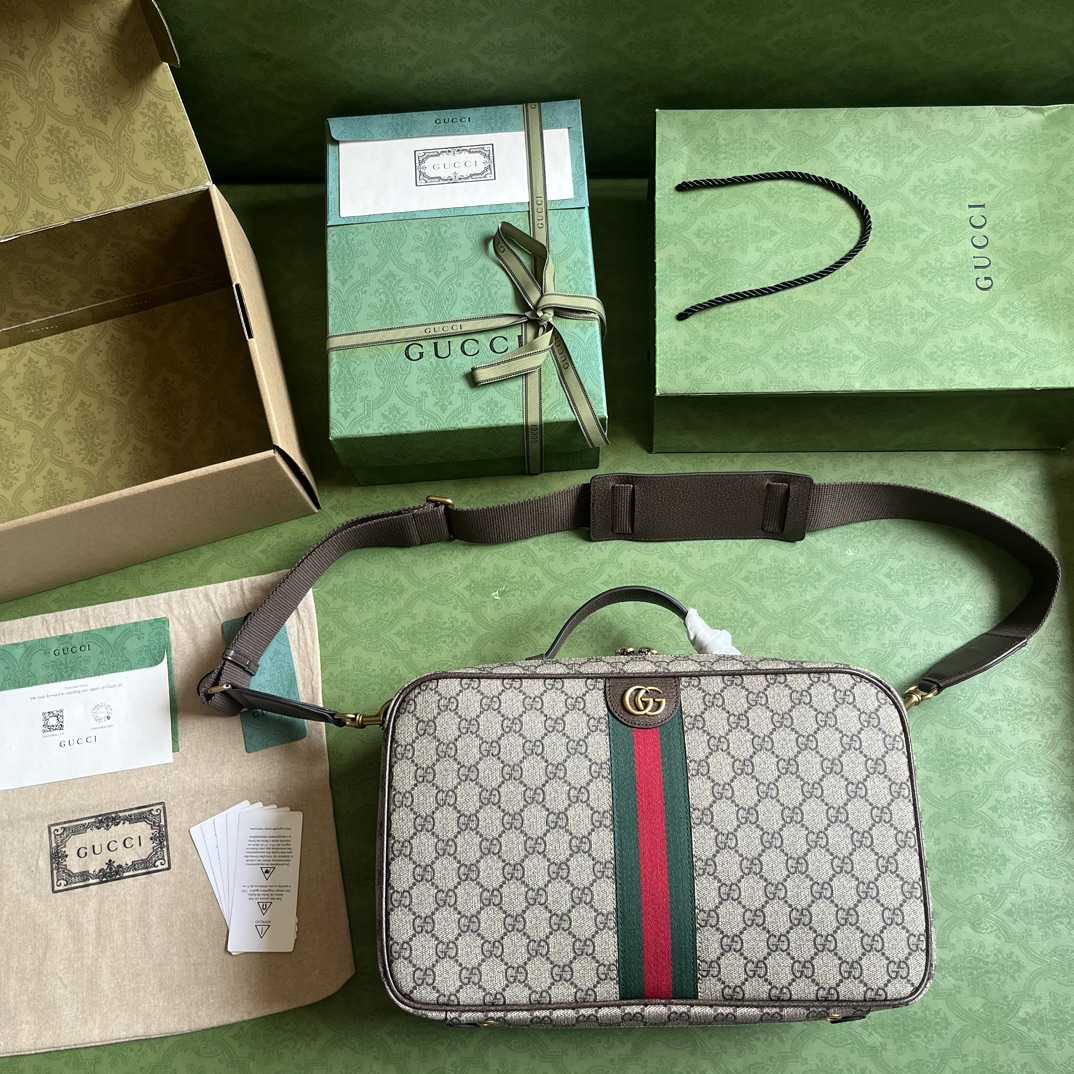 Gucci Savoy Shoe Case  (22x 36x 16cm) - DesignerGu