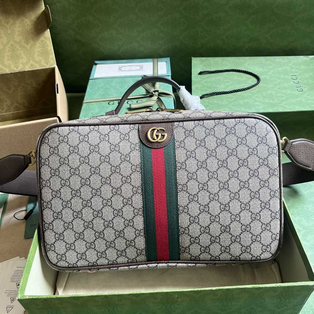 Gucci Savoy Shoe Case  (22x 36x 16cm) - DesignerGu