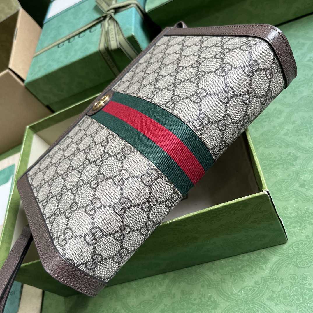 Gucci Ophidia GG Pouch - DesignerGu