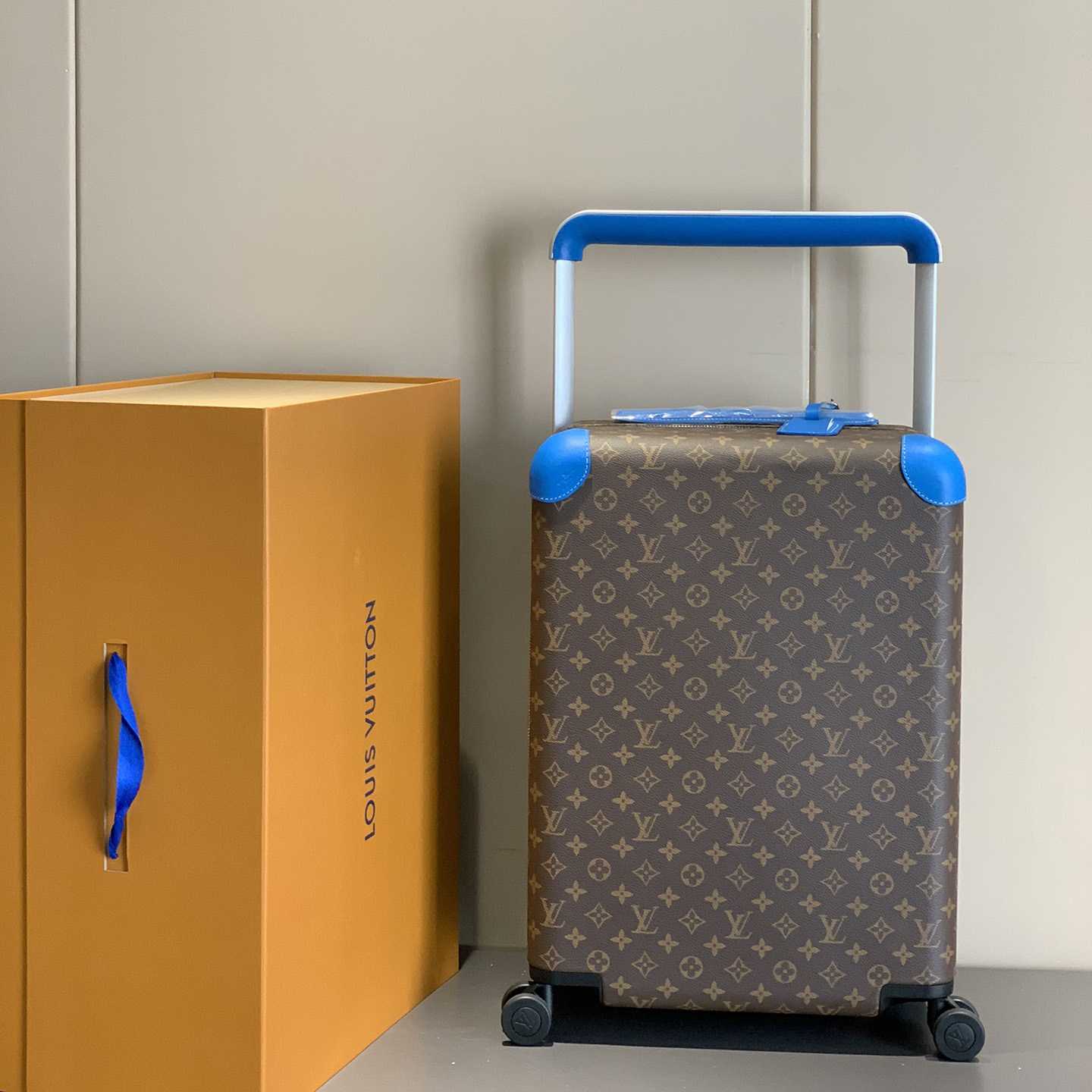 Louis Vuitton Luggage 20inch - DesignerGu