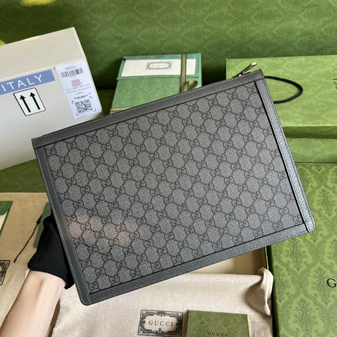 Gucci Ophidia GG Pouch (34*24*5cm) - DesignerGu