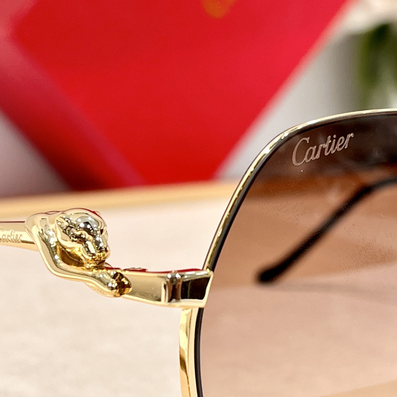 Cartier CT0267 Sunglasses - DesignerGu