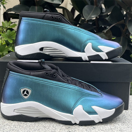 Jordan Air Jordan 14 Low 