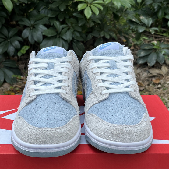 Nike Dunk Low Blue Sneaker      FZ3779-025 - DesignerGu