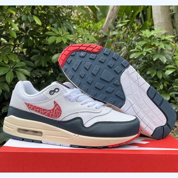 Nike Air Max 1 Sneaker    DH1348-146 - DesignerGu