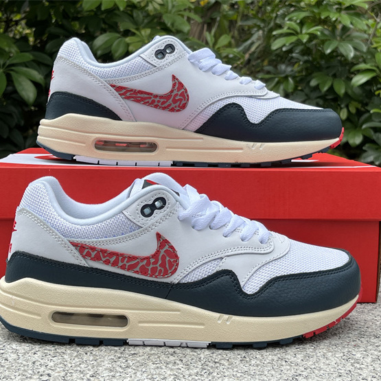 Nike Air Max 1 Sneaker    DH1348-146 - DesignerGu