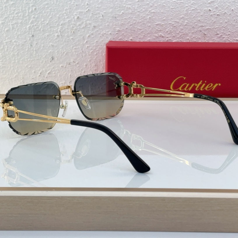 Cartier CT0540S Sunglasses - DesignerGu