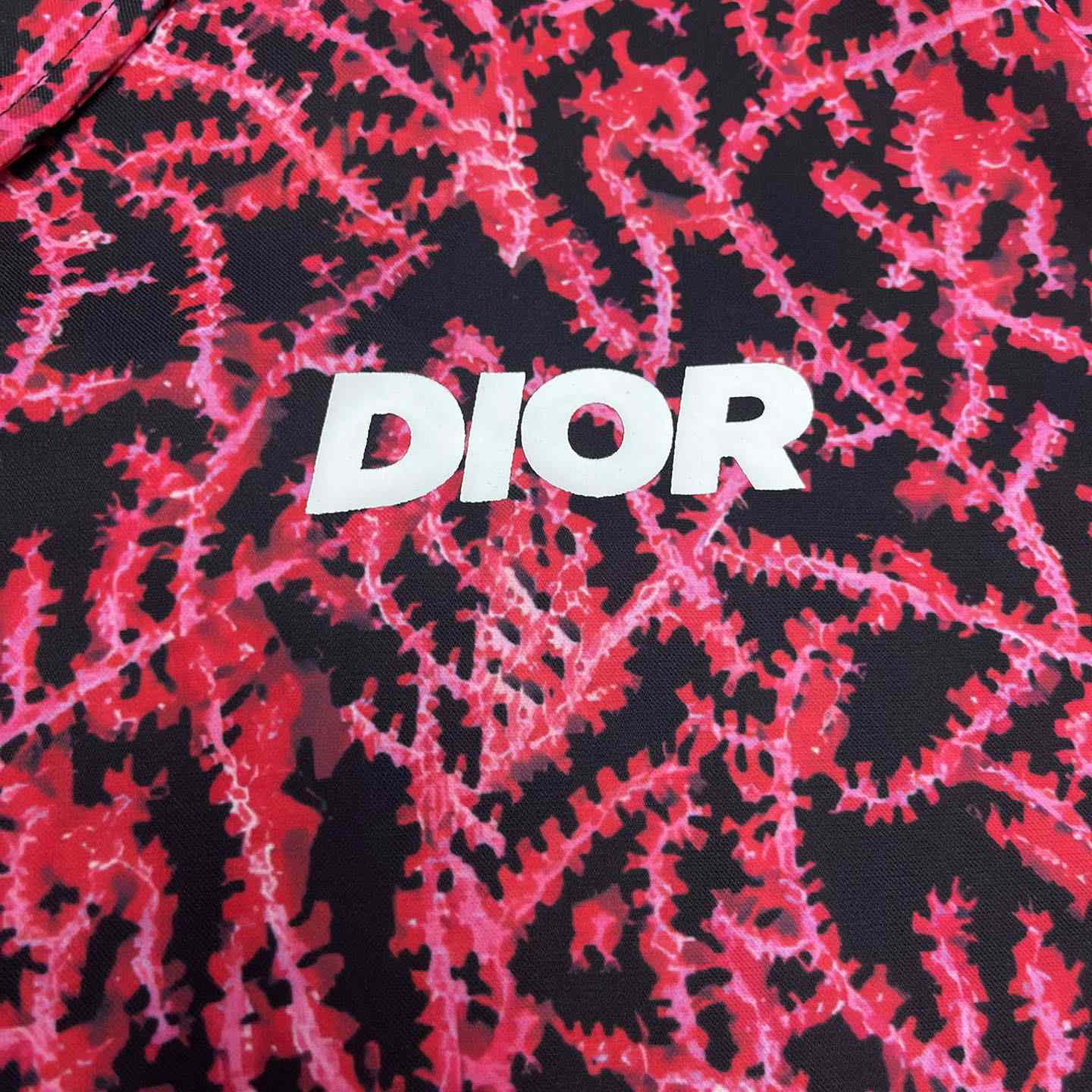 Dior Italic Short-Sleeved Shirt - DesignerGu