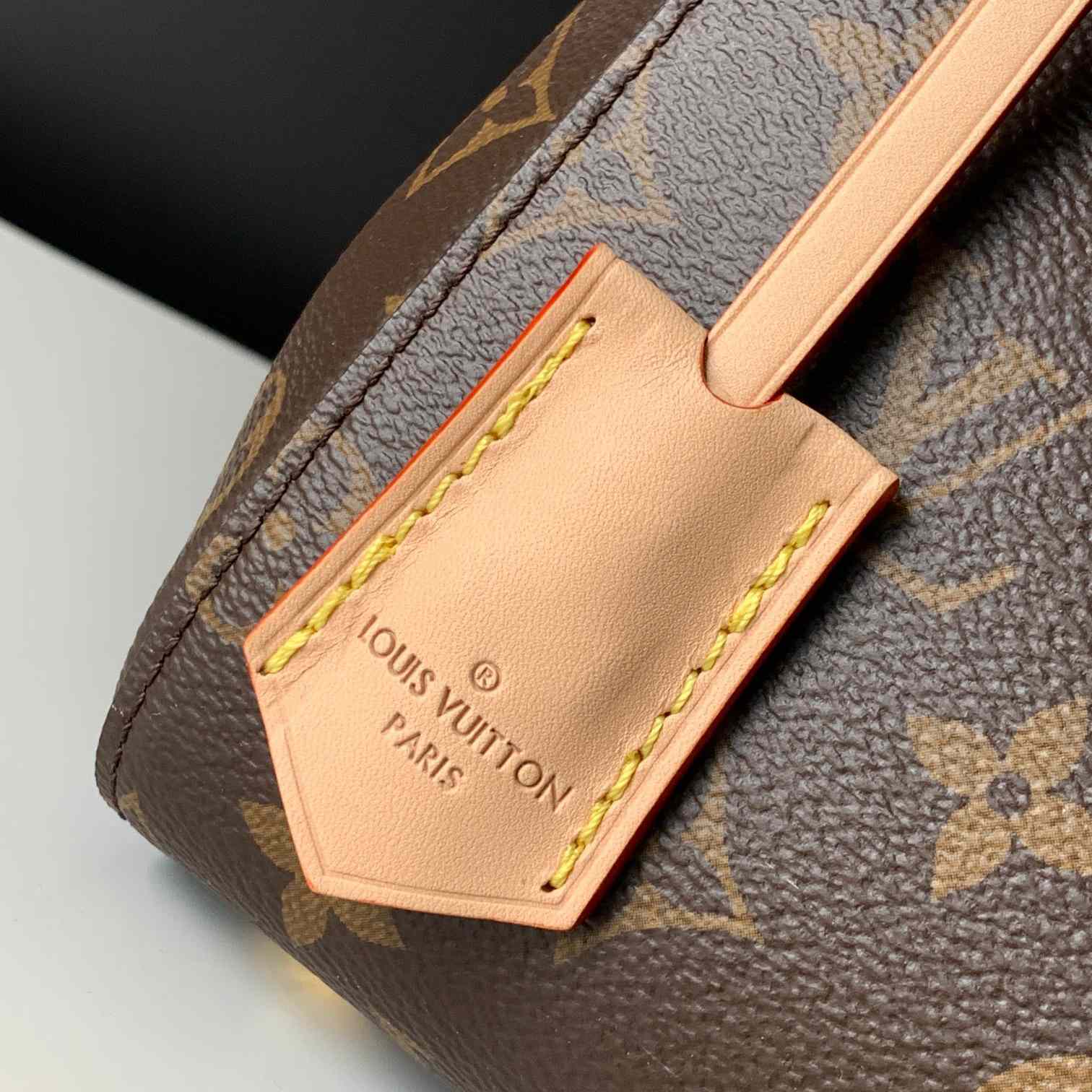 Louis Vuitton Cluny BB  M46372 - DesignerGu