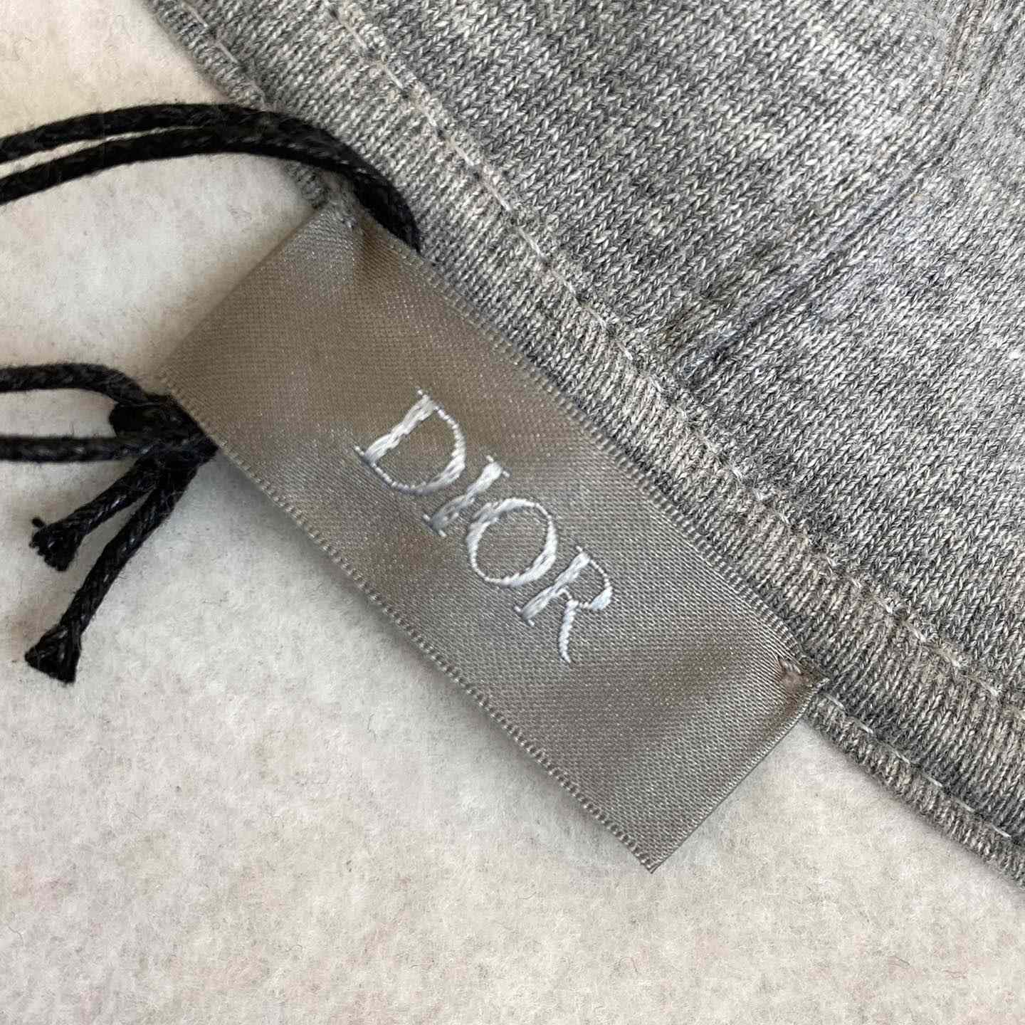 Dior CD Icon Hooded Sweatshirt - DesignerGu