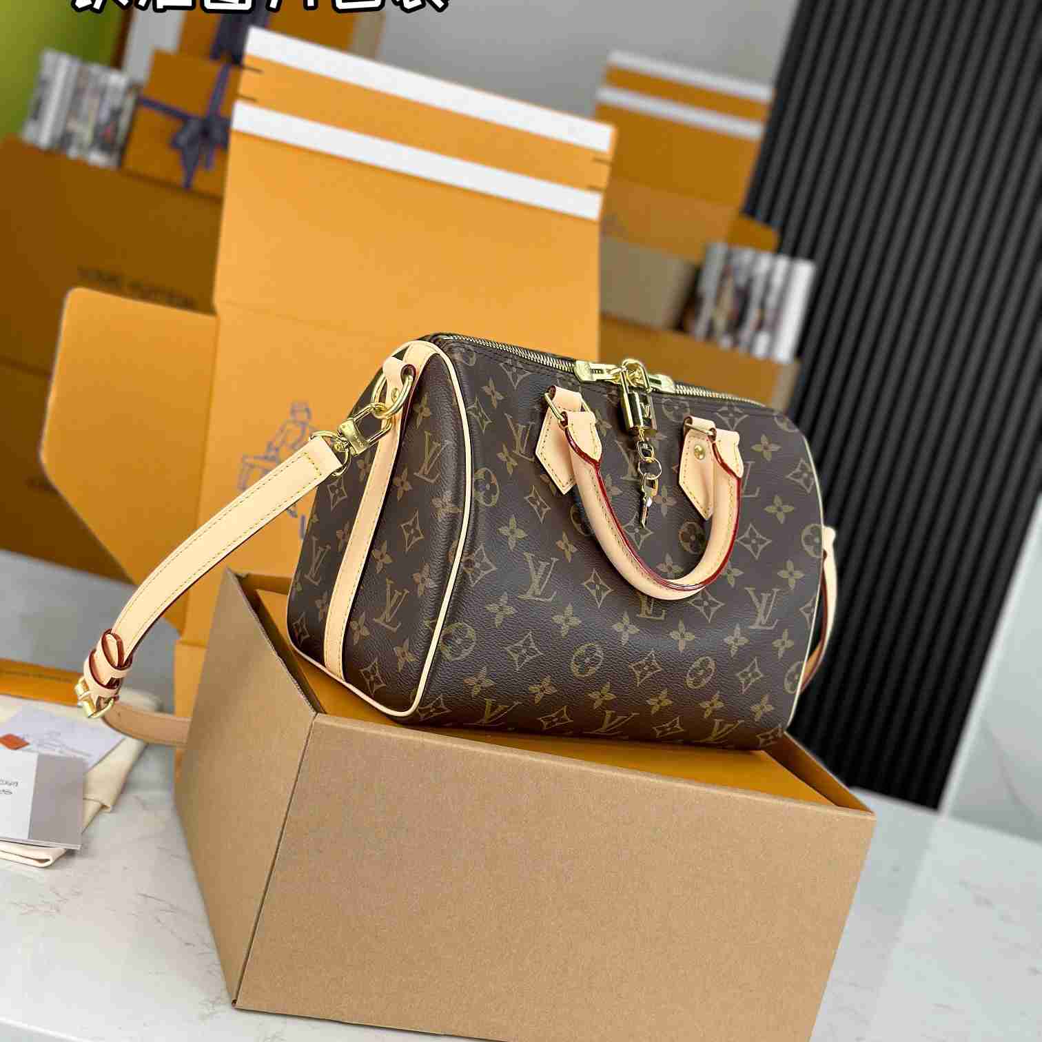 Louis Vuitton Speedy 25  M41113 - DesignerGu