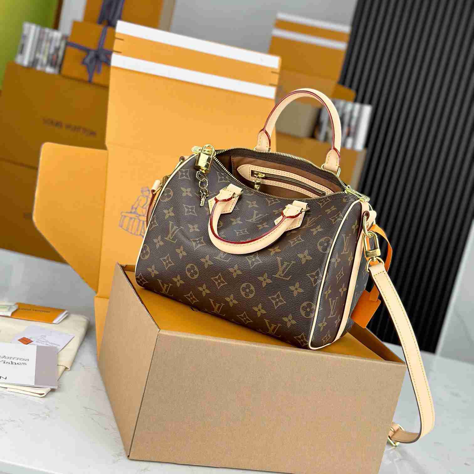 Louis Vuitton Speedy 25  M41113 - DesignerGu