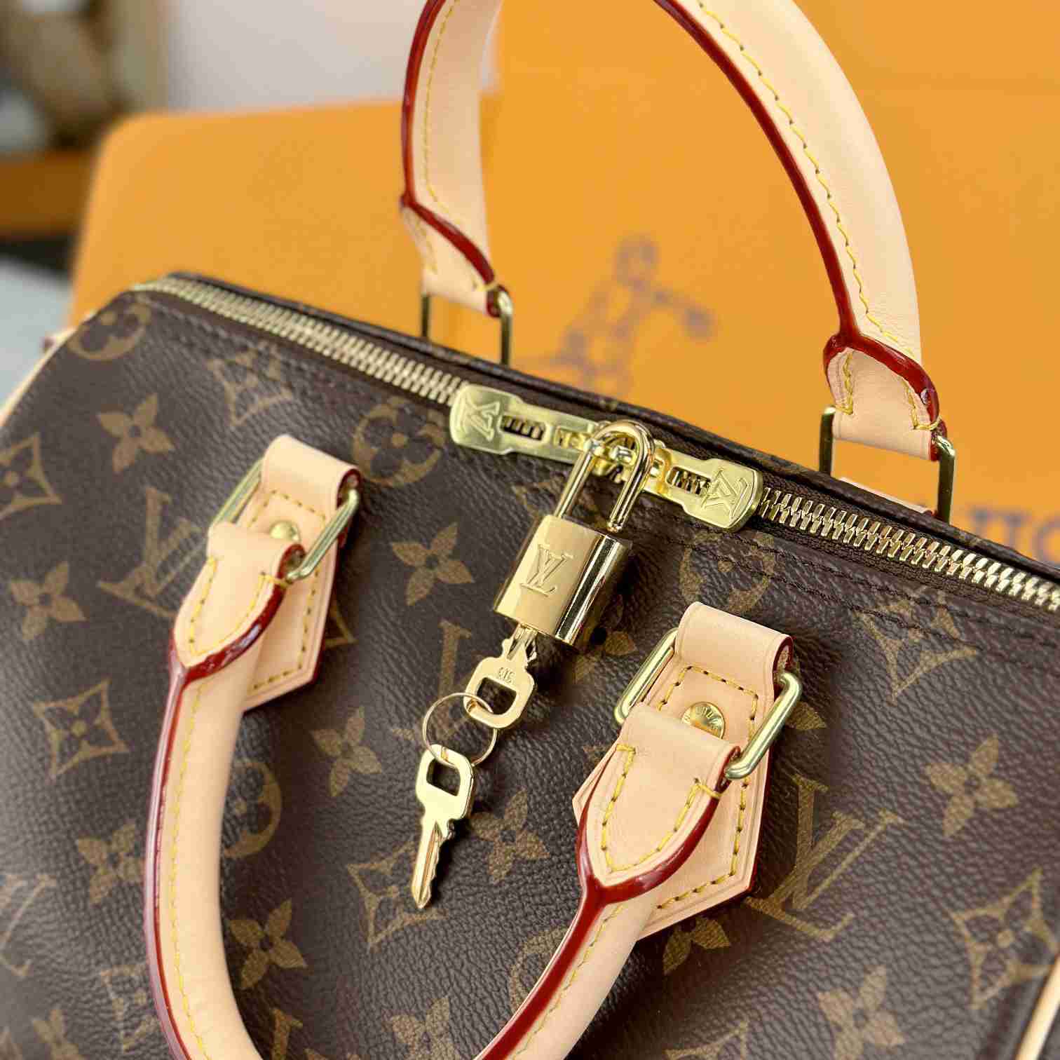 Louis Vuitton Speedy 25  M41113 - DesignerGu