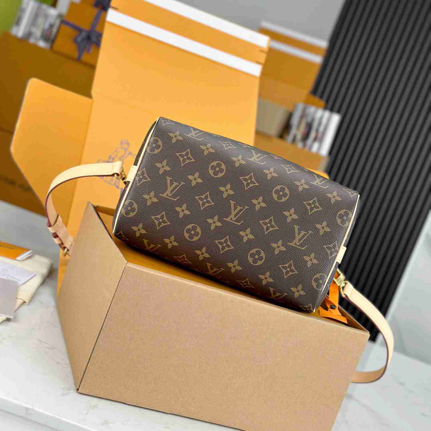 Louis Vuitton Speedy 25  M41113 - DesignerGu