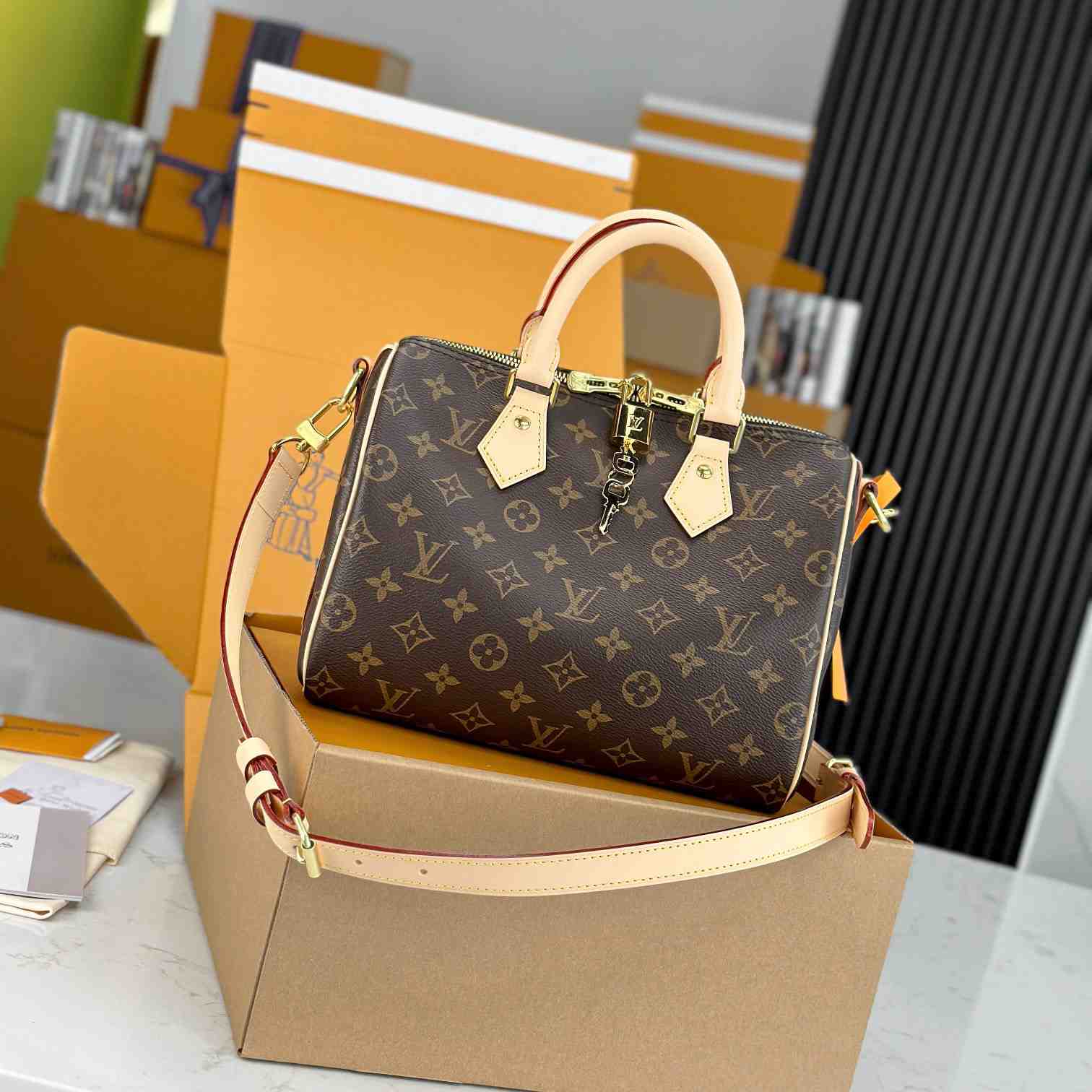 Louis Vuitton Speedy 25  M41113 - DesignerGu