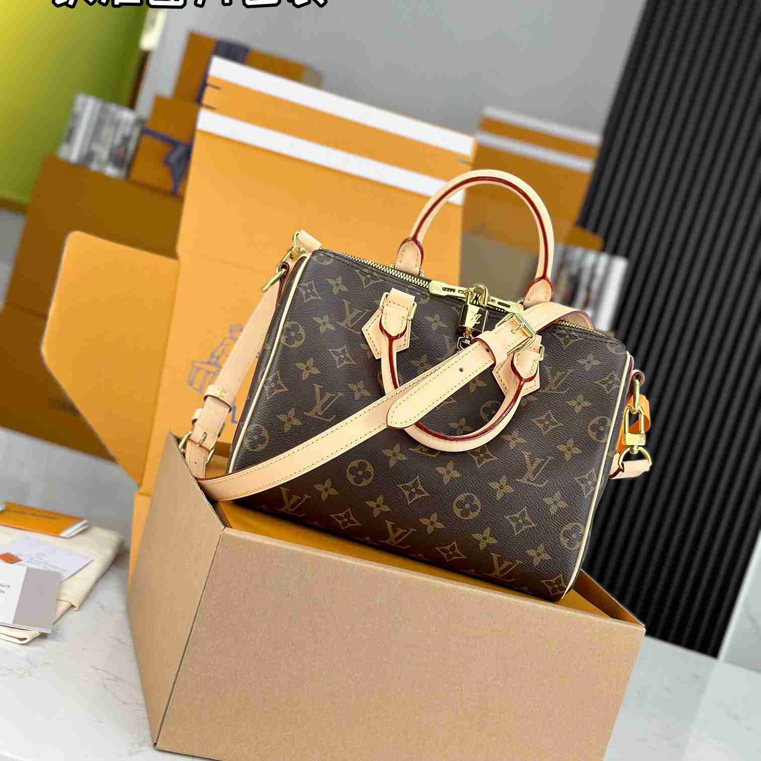 Louis Vuitton Speedy 25  M41113 - DesignerGu