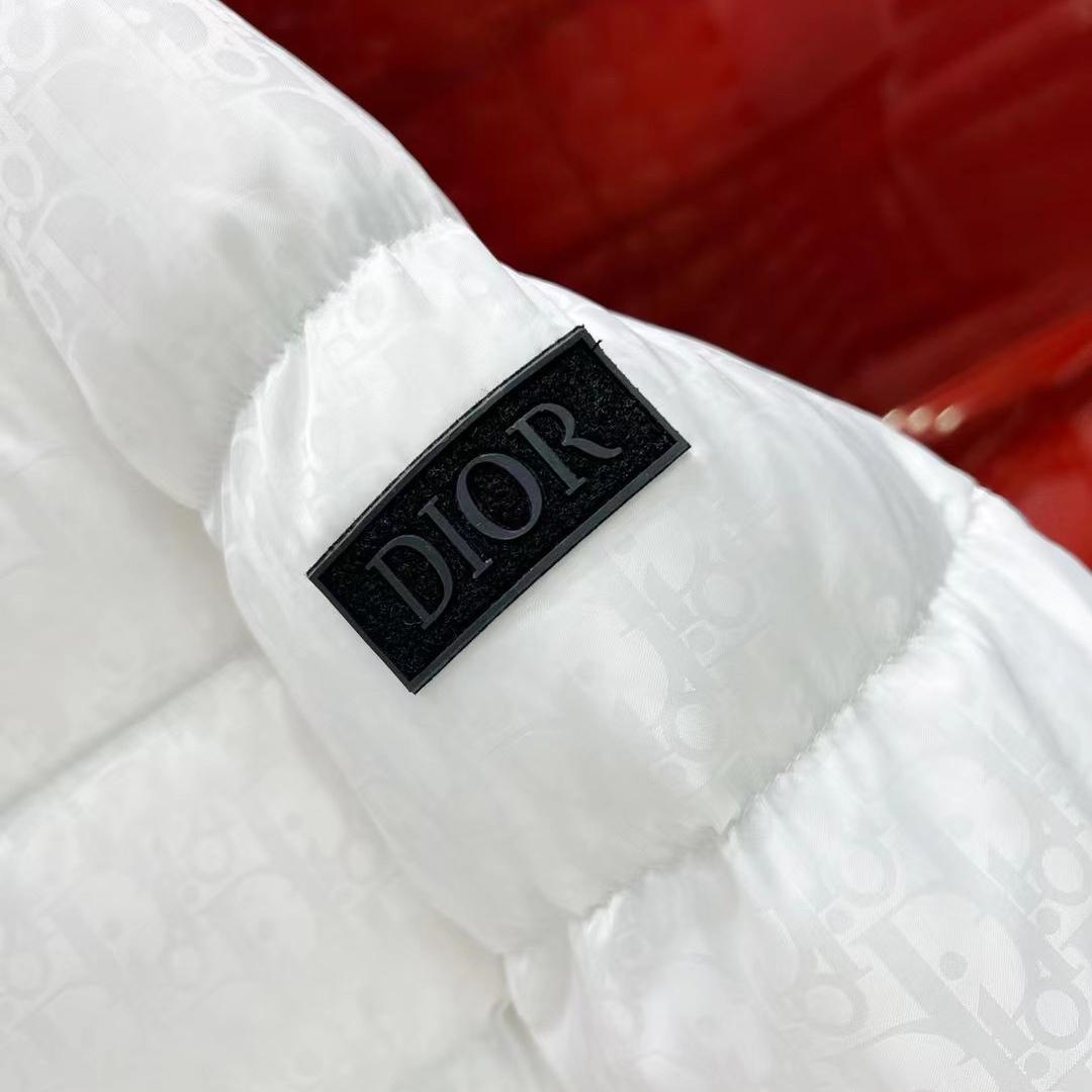 Dior Oblique Down Jacket  - DesignerGu