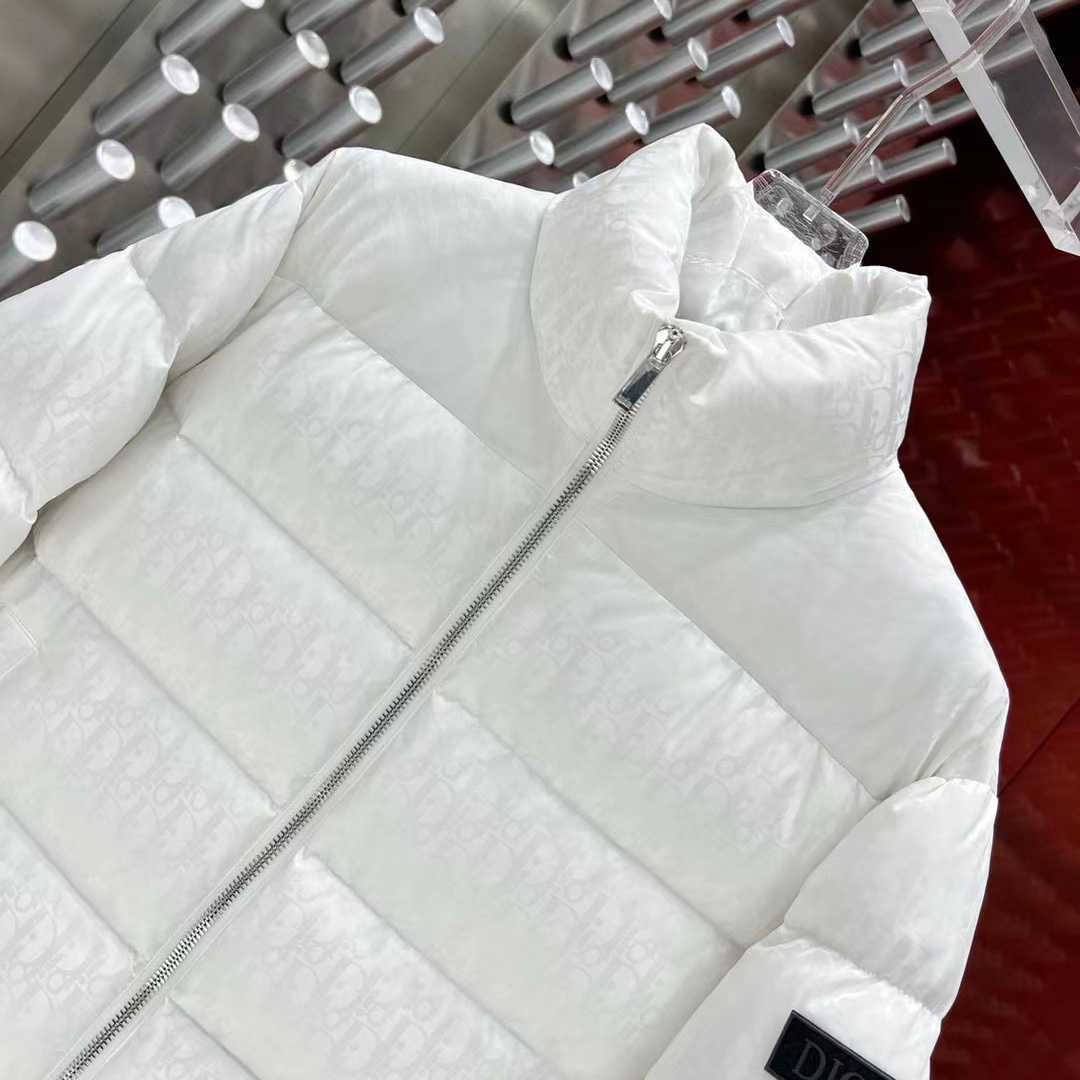 Dior Oblique Down Jacket  - DesignerGu