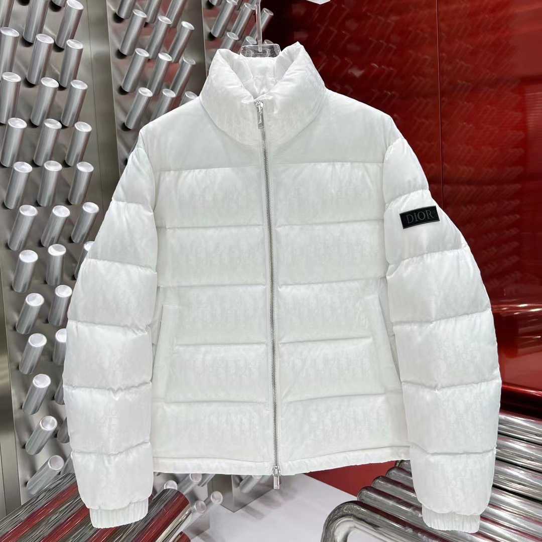 Dior Oblique Down Jacket  - DesignerGu