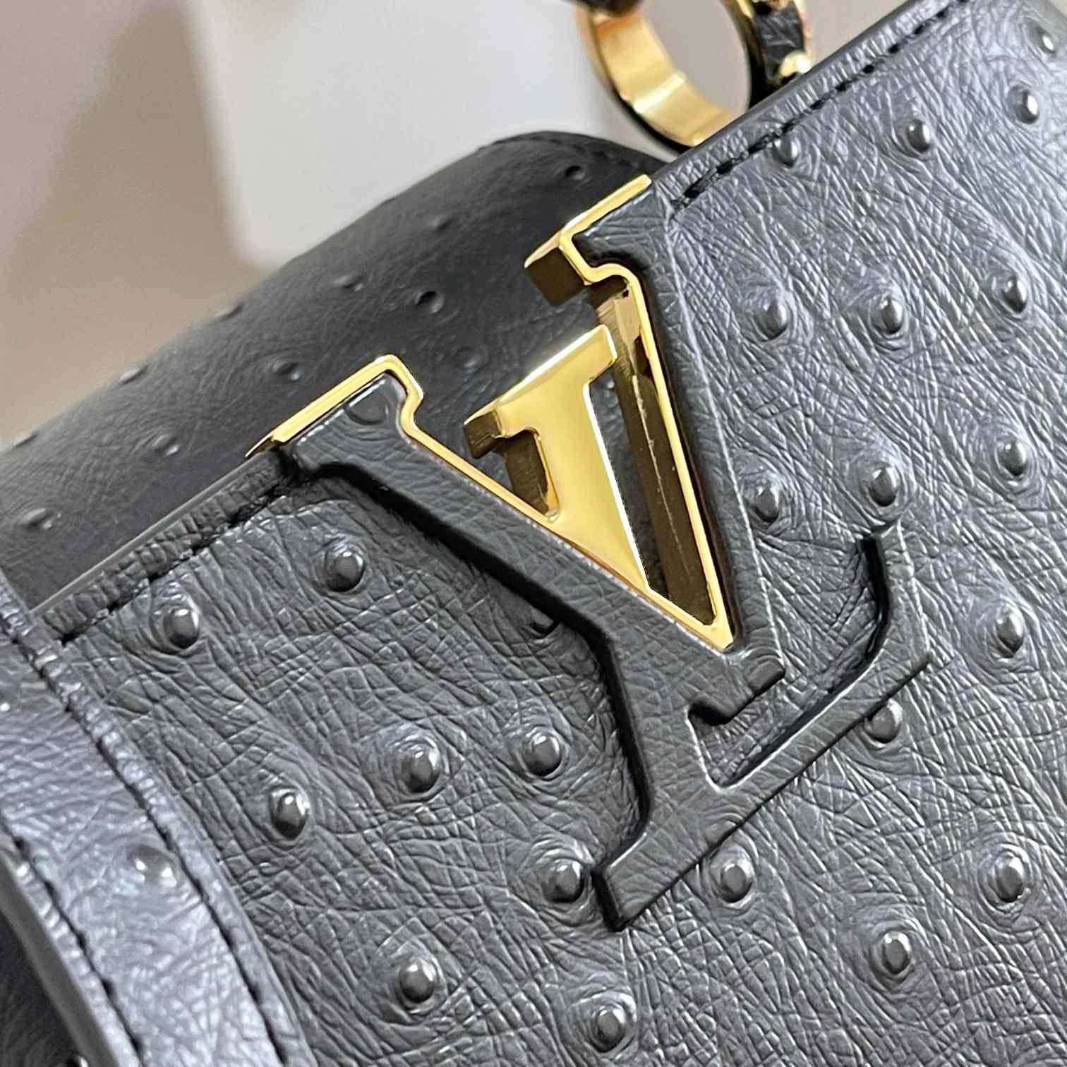 Louis Vuitton Capucines (21*14*8cm)   M48865 - DesignerGu